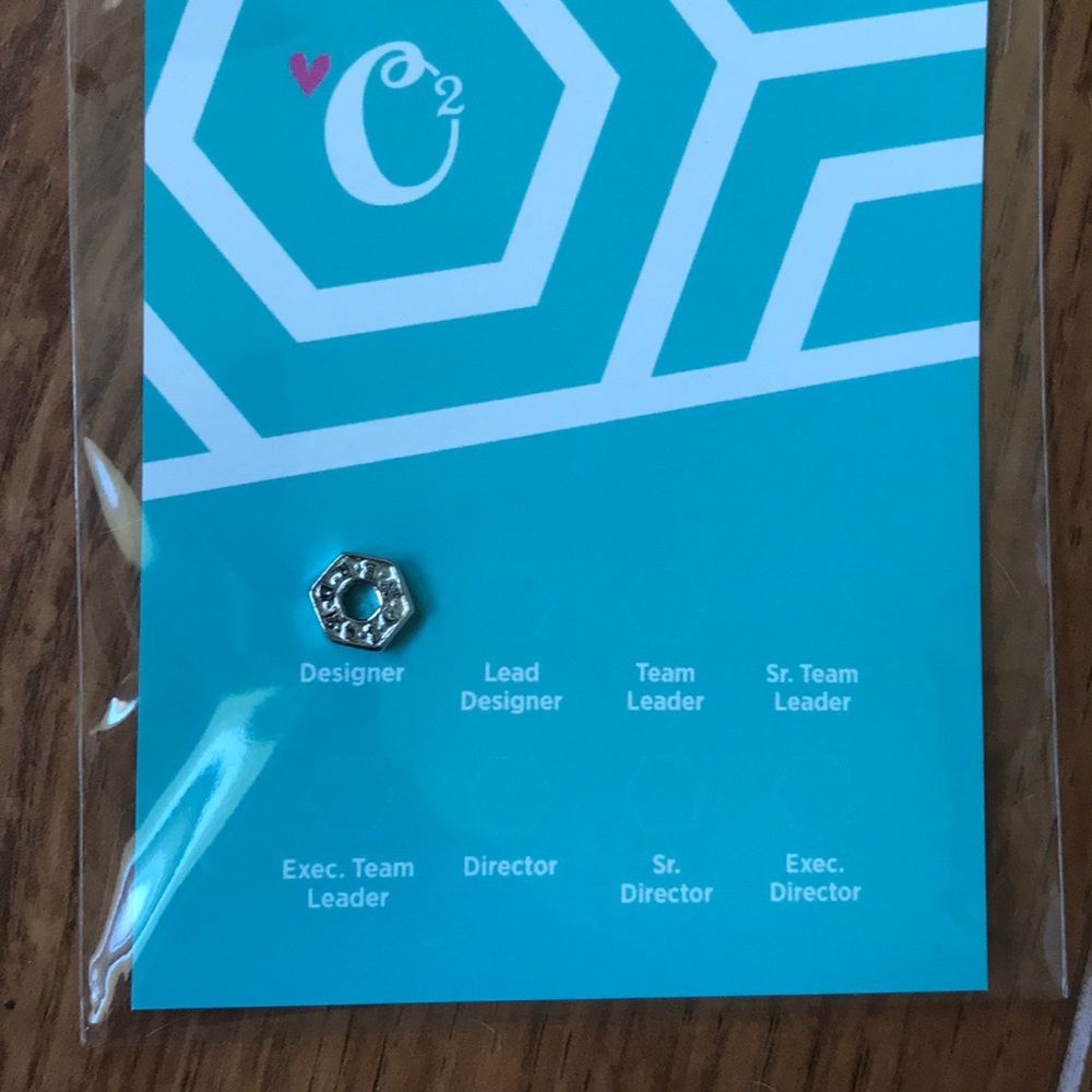 Origami owl DESIGNER charm